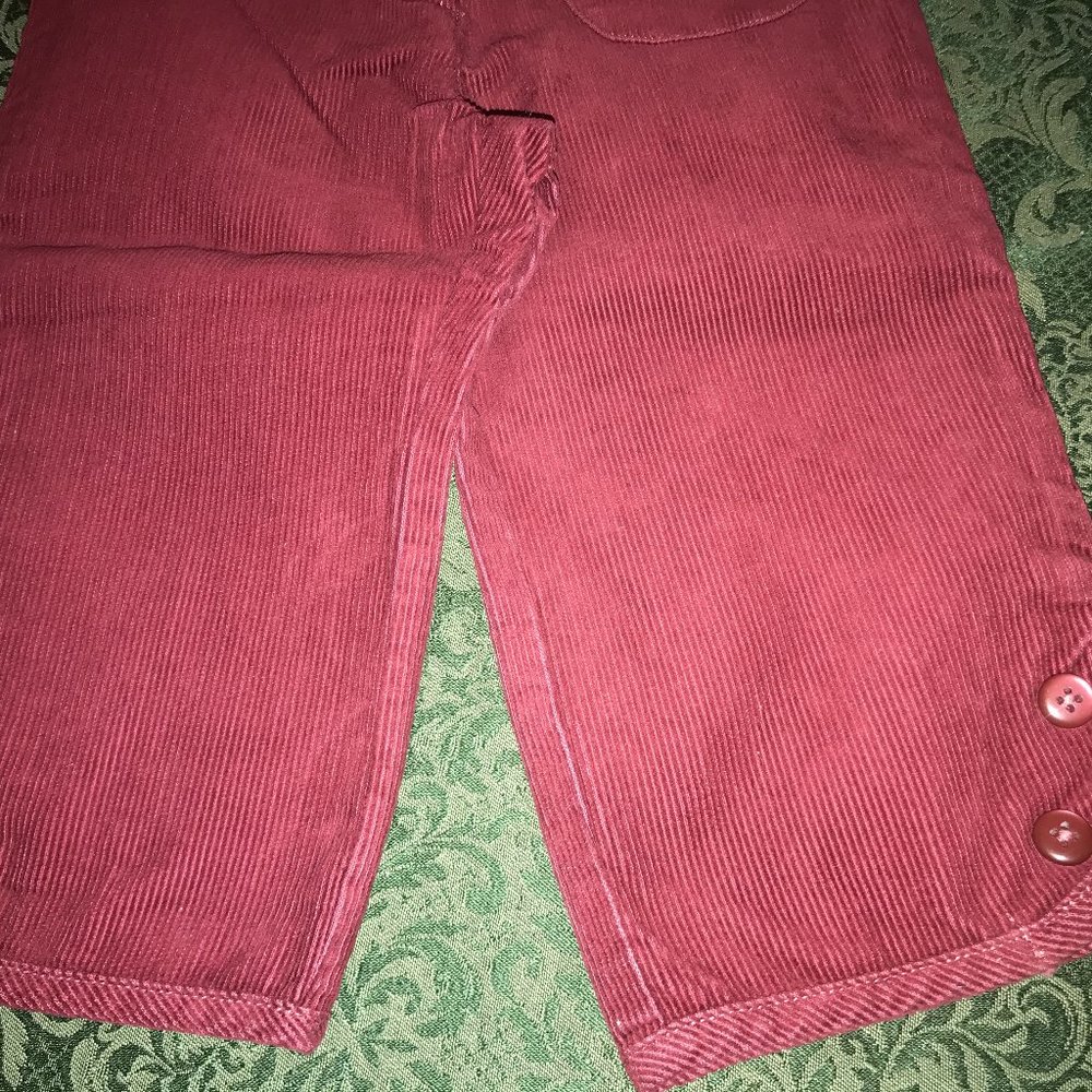 NWT gymboree puppy dog capris pants 2t primrose - Picture 5 of 7